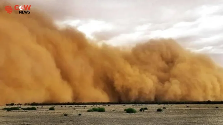 Dust Storm Wreaks Havoc Across Sindh, Power Outages 1 Dust Storm Wreaks Havoc Across Sindh, Power Outages - The COW News