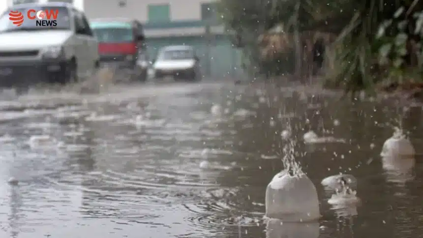 Hot Weather Persists in Punjab, Rain Expected in Evening - The COW News