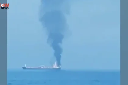 India Faces Diplomatic Heat Over Hormuz Incident - The COW News