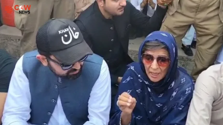 KP Budget Row: Aleema Khan Warns CM Afridi - The COW News