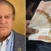 PML-N MPA Proposes Nawaz Image on Rs5000 Note in Pakistan - The COW News