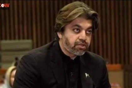 PTI's Ali Muhammad Khan Signals Charter of Democracy Talks - The COW News