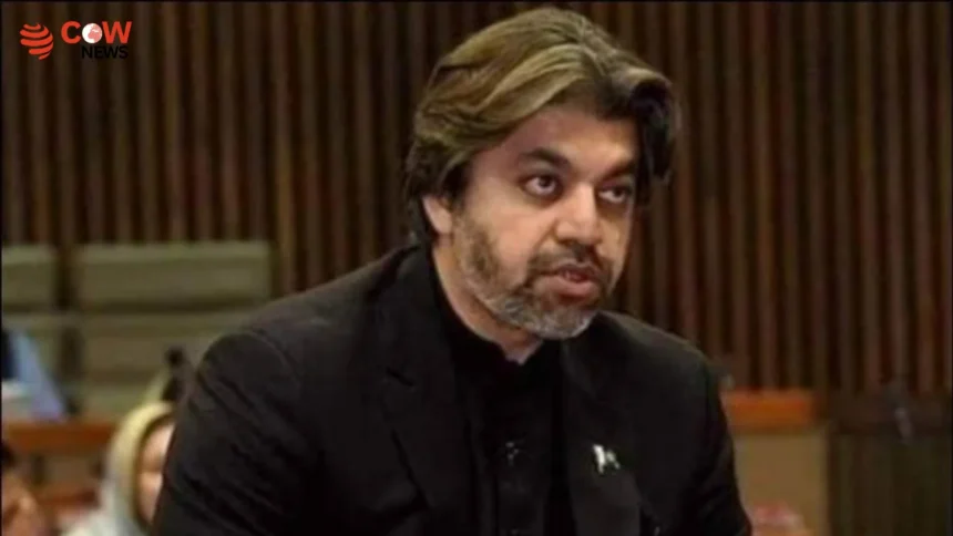 PTI's Ali Muhammad Khan Signals Charter of Democracy Talks - The COW News