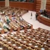 Punjab Budget Faces Legal Challenge Over Projects - The COW News