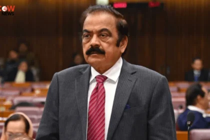 Rana Sanaullah: APC Wanted Kashmir Clause Removed - The COW News