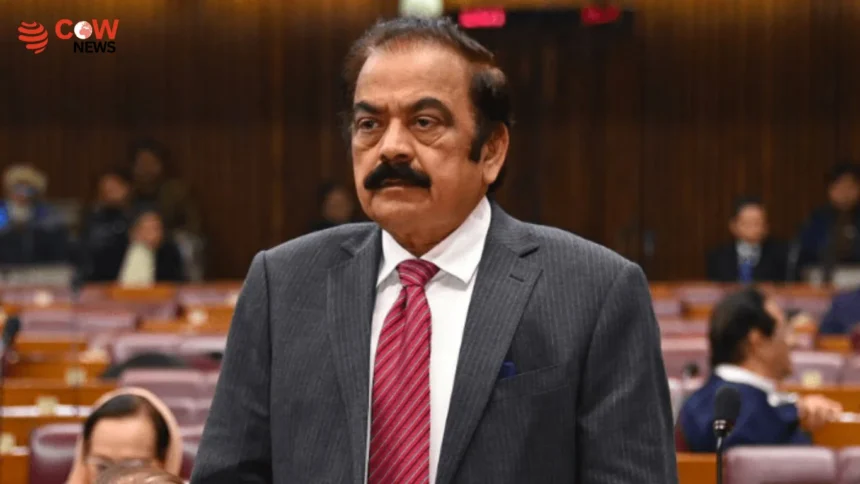 Rana Sanaullah: APC Wanted Kashmir Clause Removed 1 Rana Sanaullah: APC Wanted Kashmir Clause Removed - The COW News