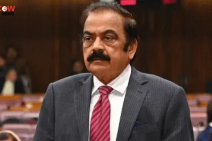 Rana Sanaullah Claims Foreign Funding in Action Committee - The COW News