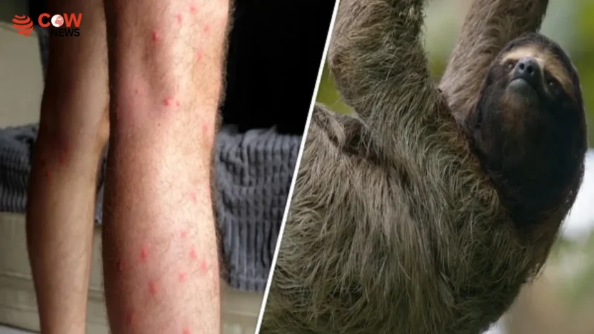 Scientists Warn of Wider Spread of Rare Virus Infection 1 Scientists Warn of Wider Spread of Rare Virus Infection - The COW News