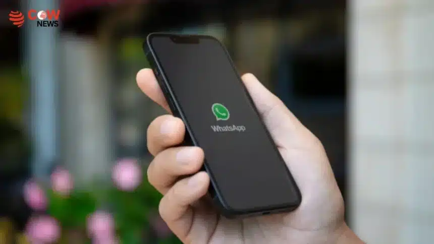 WhatsApp Introduces New Scam Alert Feature for Users - The COW News