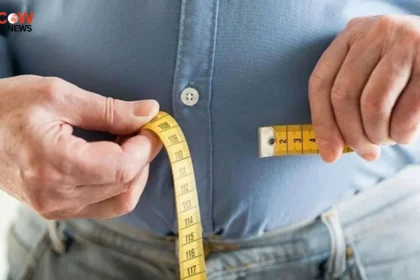 13 Best Foods for Rapid, Healthy Weight Loss - The COW News