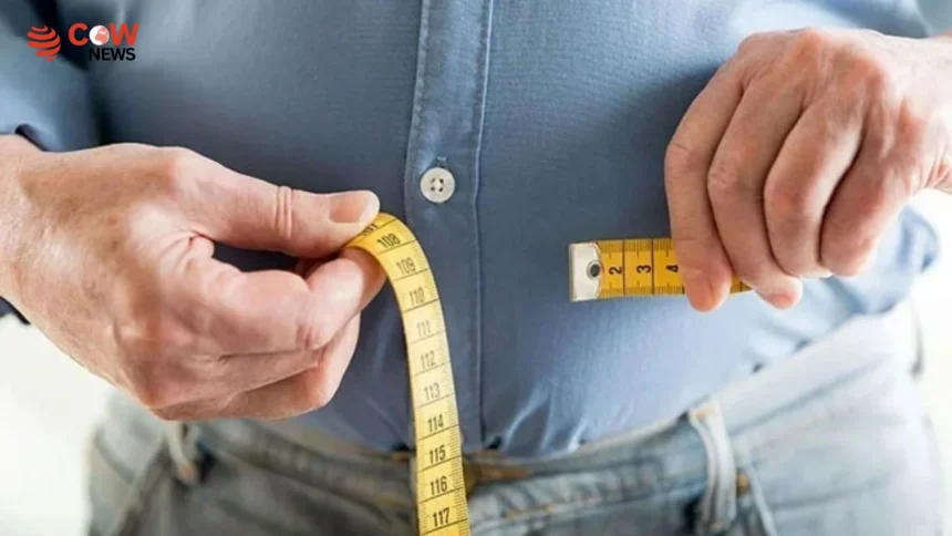 13 Best Foods for Rapid, Healthy Weight Loss - The COW News