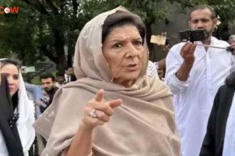 Aleema Khan Announces Street Movement After Adiala Protest - The COW News