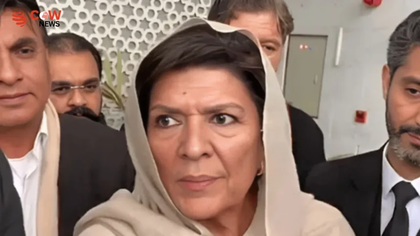 Aleema Khan Rejects Govt Talks and Calls for Public Protest 1 Aleema Khan Rejects Govt Talks and Calls for Public Protest - The COW News