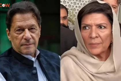 Aleema Khan Says Imran Refuses to Bow Before Govt - The COW News