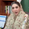 Hina Parvez Butt Warns Parents Over Influencers Impact - The COW News