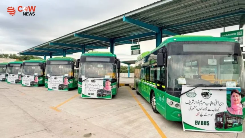 Maryam Nawaz Delivers 10 Electric Buses to Azad Kashmir in 72 Hours 1 Maryam Nawaz Delivers 10 Electric Buses to Azad Kashmir in 72 Hours - The COW News