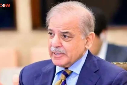 PM Shehbaz Sharif Calls for Urgent National Action on Population Challenges - The COW News