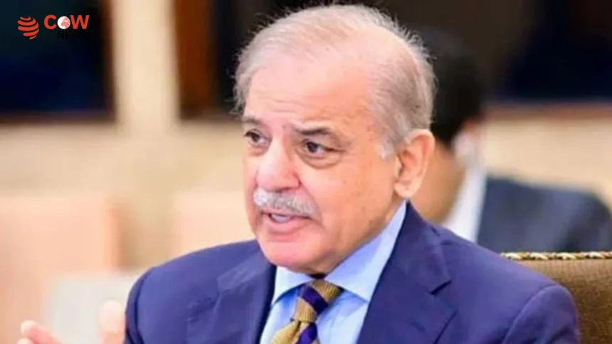 PM Shehbaz Sharif Calls for Urgent National Action on Population Challenges - The COW News
