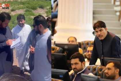 PTI Lawmaker Accuses KP CM’s Brother of Political Interference - The COW News