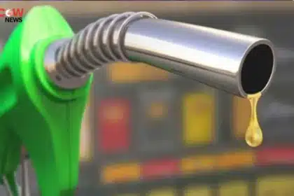 Pakistan Keeps Petrol and Diesel Levy Unchanged - The COW News