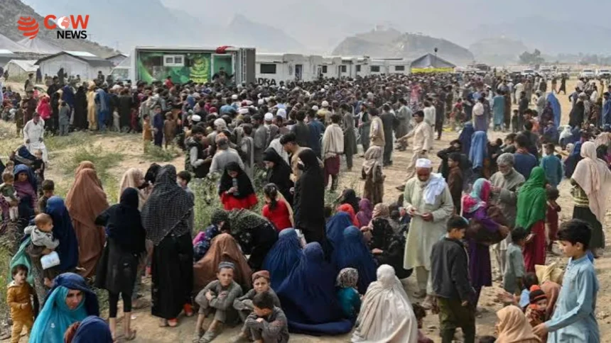 Pakistan Launches Fresh Crackdown Against Illegal Afghan Residents - The COW News