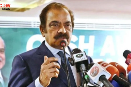 Rana Sana Rejects Claims Linking Ishaq Dar Case Row - The COW News