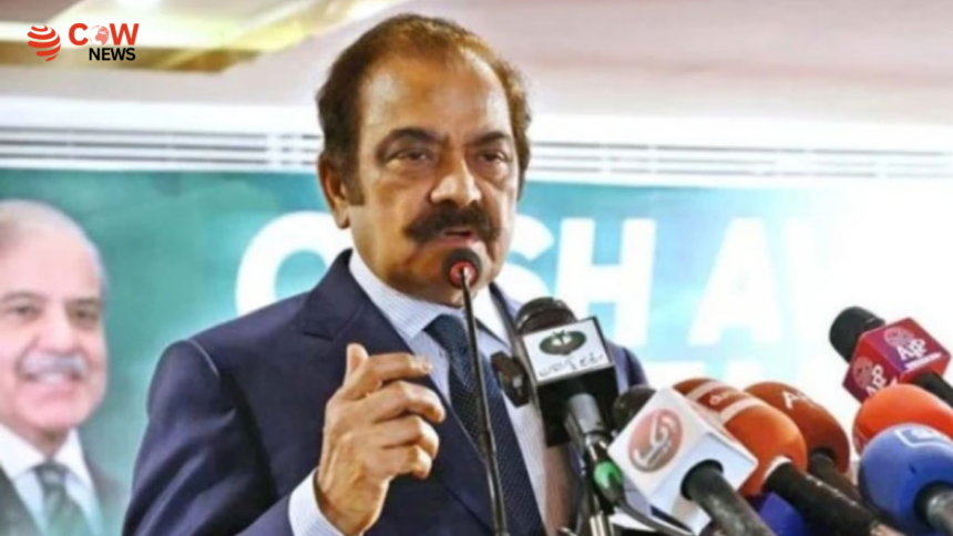Rana Sana Rejects Claims Linking Ishaq Dar Case Row 1 Rana Sana Rejects Claims Linking Ishaq Dar Case Row - The COW News