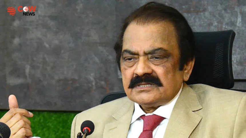 Rana Sanaullah Clashes With Journalist Over PPP Corruption Query 1 Rana Sanaullah Clashes With Journalist Over PPP Corruption Query - The COW News