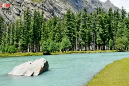 Relative Seeks Probe Into Deadly Saifullah Lake Tragedy - The COW News