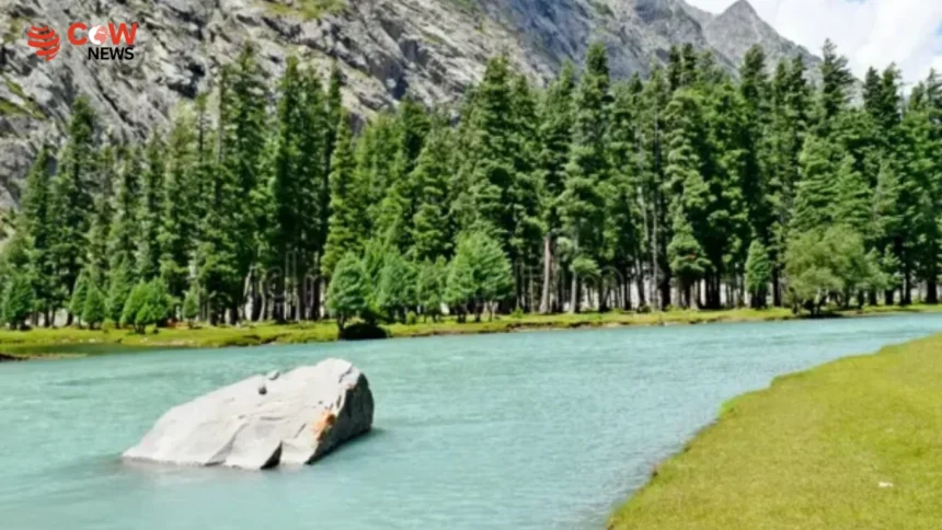 Relative Seeks Probe Into Deadly Saifullah Lake Tragedy - The COW News