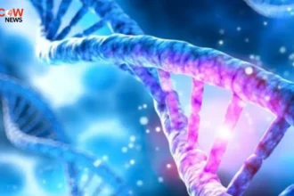 Sindh Drug Testing Laboratory Declares 9 Cancer Drugs Counterfeit and Substandard - The COW News