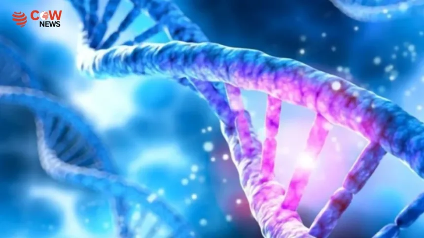 Sindh Drug Testing Laboratory Declares 9 Cancer Drugs Counterfeit and Substandard - The COW News