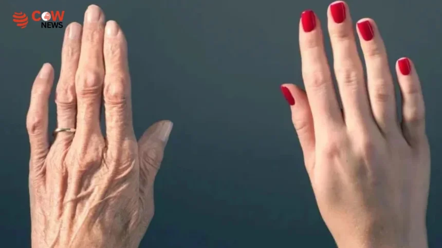 The Country Using Donated Cadaver Skin for Eternal Youth - The COW News
