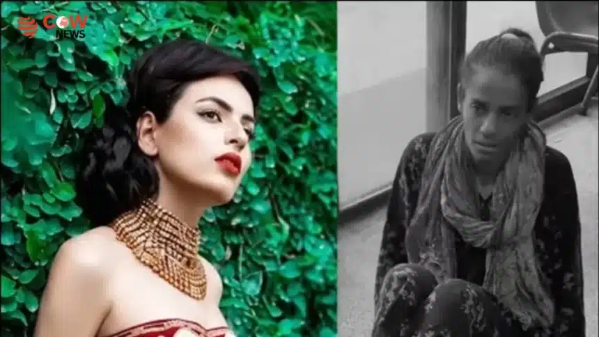 Tragic Fall of Former Model Sehresh Sparks Concern - The COW News