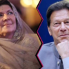 Aleema Khan Demands End to Imran Khan's Solitary Confinement - The COW News