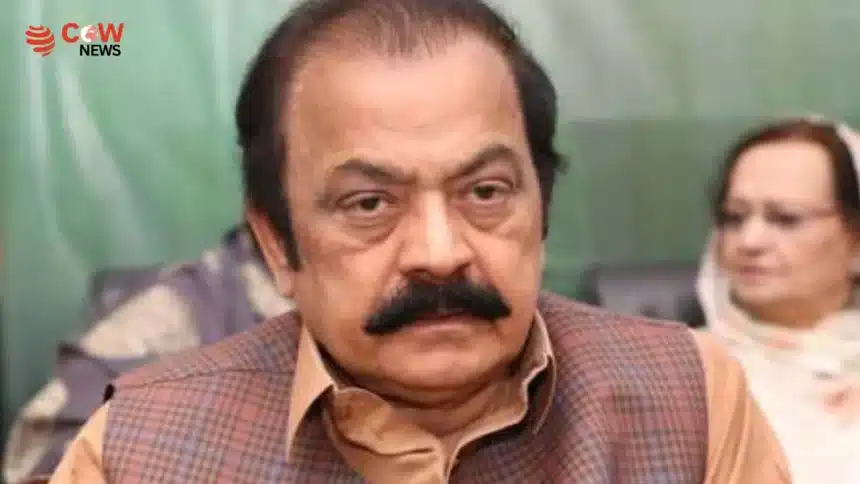Govt Files Review Petition Over Imran Khan's Hospital Transfer Ruling: Rana Sanaullah 1 Govt Files Review Petition Over Imran Khan's Hospital Transfer Ruling: Rana Sanaullah - The COW News