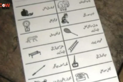 Azad Kashmir Elections: Ballot Papers Seized at Gunpoint Before Voting - The COW News
