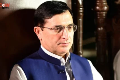 Barrister Gohar Strongly Denies Meeting With Imran Khan - The COW News