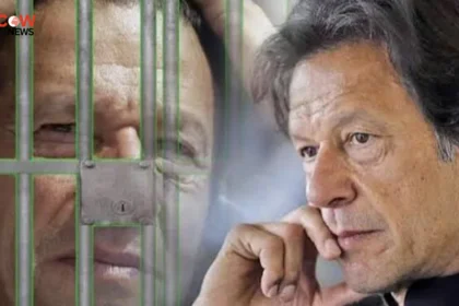 Imran Khan Not in Solitary Confinement, Adiala Jail Administration Tells High Court - The COW News