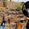 Mir Raza Murder Case: New Investigation Team Visits Site - The COW News