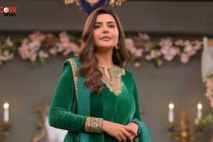 Nida Yasir Calls Out Financial Dependence Among Married Men in Pakistan - The COW News