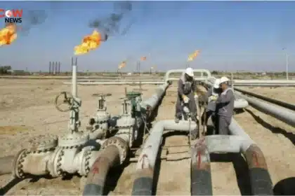 PPL Unlocks First Hydrocarbon Play in Coastal Sindh Marshlands - The COW News