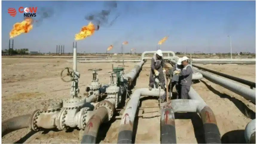 PPL Unlocks First Hydrocarbon Play in Coastal Sindh Marshlands 1 PPL Unlocks First Hydrocarbon Play in Coastal Sindh Marshlands - The COW News