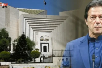 PTI Leadership Divided Over Exclusion of Interior Minister from Contempt Petition - The COW News