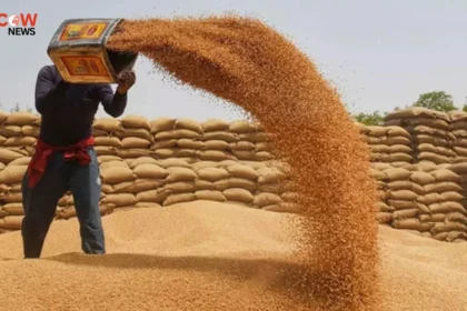 Pakistan Approves Import of 1 Million Tonnes Wheat - The COW News