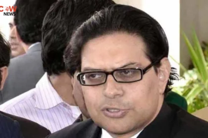 Salman Akram Raja Facing Baseless Allegations: Aleema Khan - The COW News