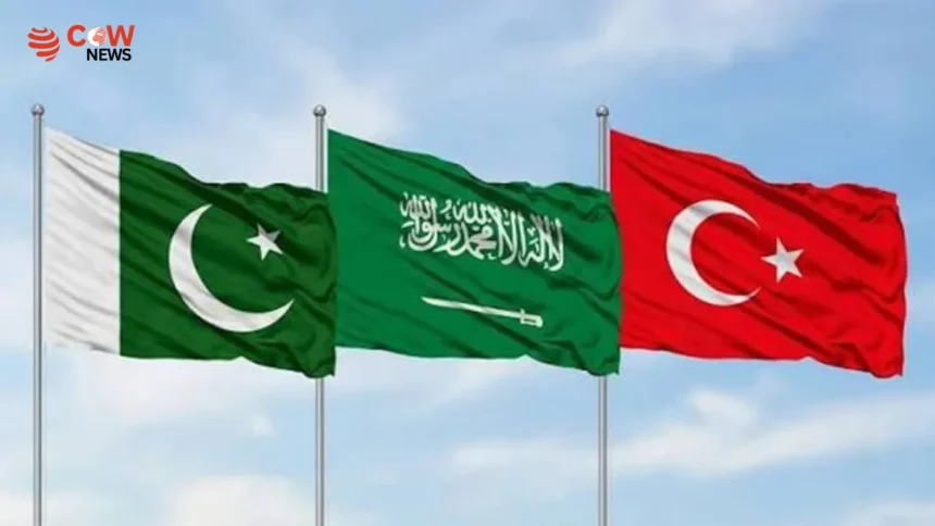 Saudi, Pakistan, Turkey to Sign Major Defense Pact 1 Saudi, Pakistan, Turkey to Sign Major Defense Pact - The COW News