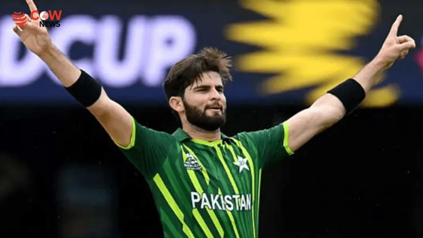 Shaheen Afridi Returns to Lanka Premier League for Playoff Stage - The COW News