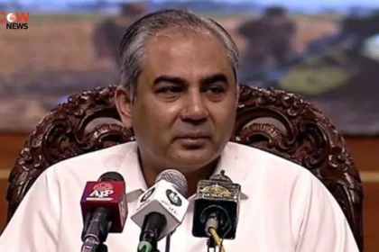 Significant Progress in Pakistan-Iran Talks, Hopes for Lasting Peace: Mohsin Naqvi - The COW News