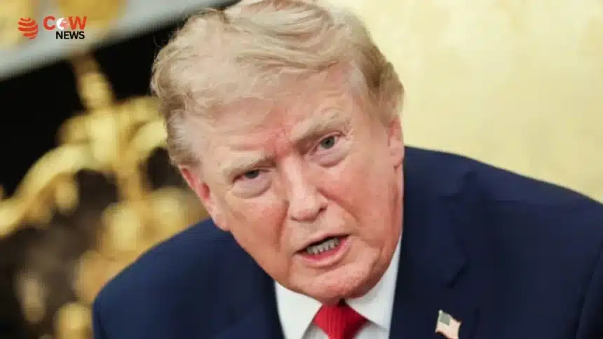 Trump Lashes Out at CNN Journalist Over South Korea Query 1 Trump Lashes Out at CNN Journalist Over South Korea Query - The COW News